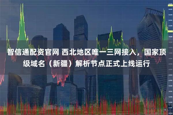 智信通配资官网 西北地区唯一三网接入，国家顶级域名（新疆）解析节点正式上线运行